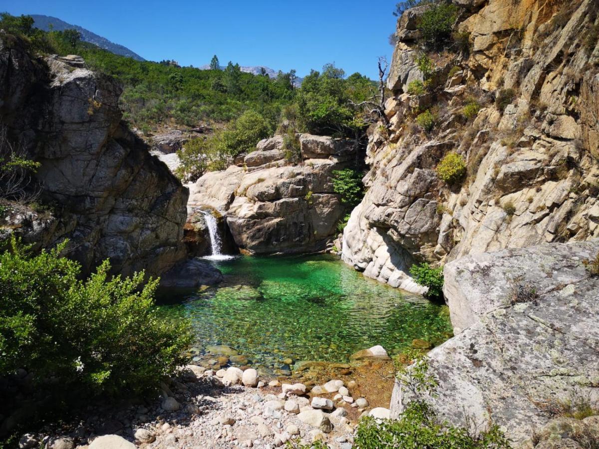 Un Petit Paradis Pinarellu Buitenkant foto