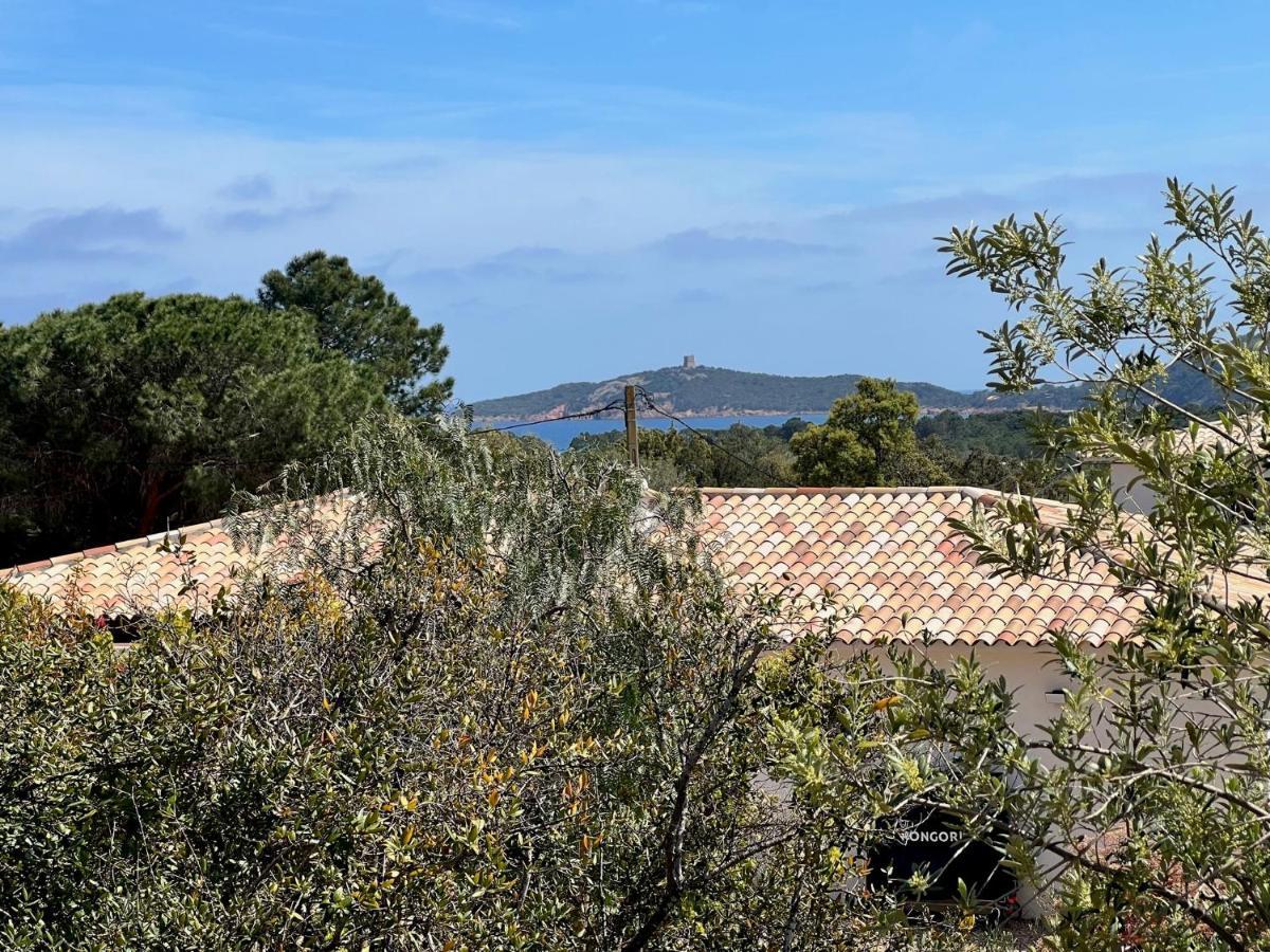 Un Petit Paradis Pinarellu Buitenkant foto